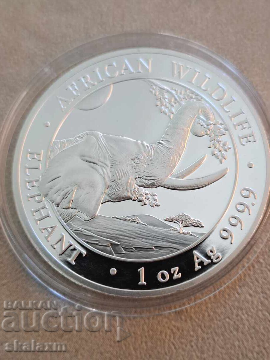 Ασήμι 1 oz. Σομαλικός Ελέφαντας 2023 Ασήμι 1 oz. Σομαλικός Ελέφαντας 2023