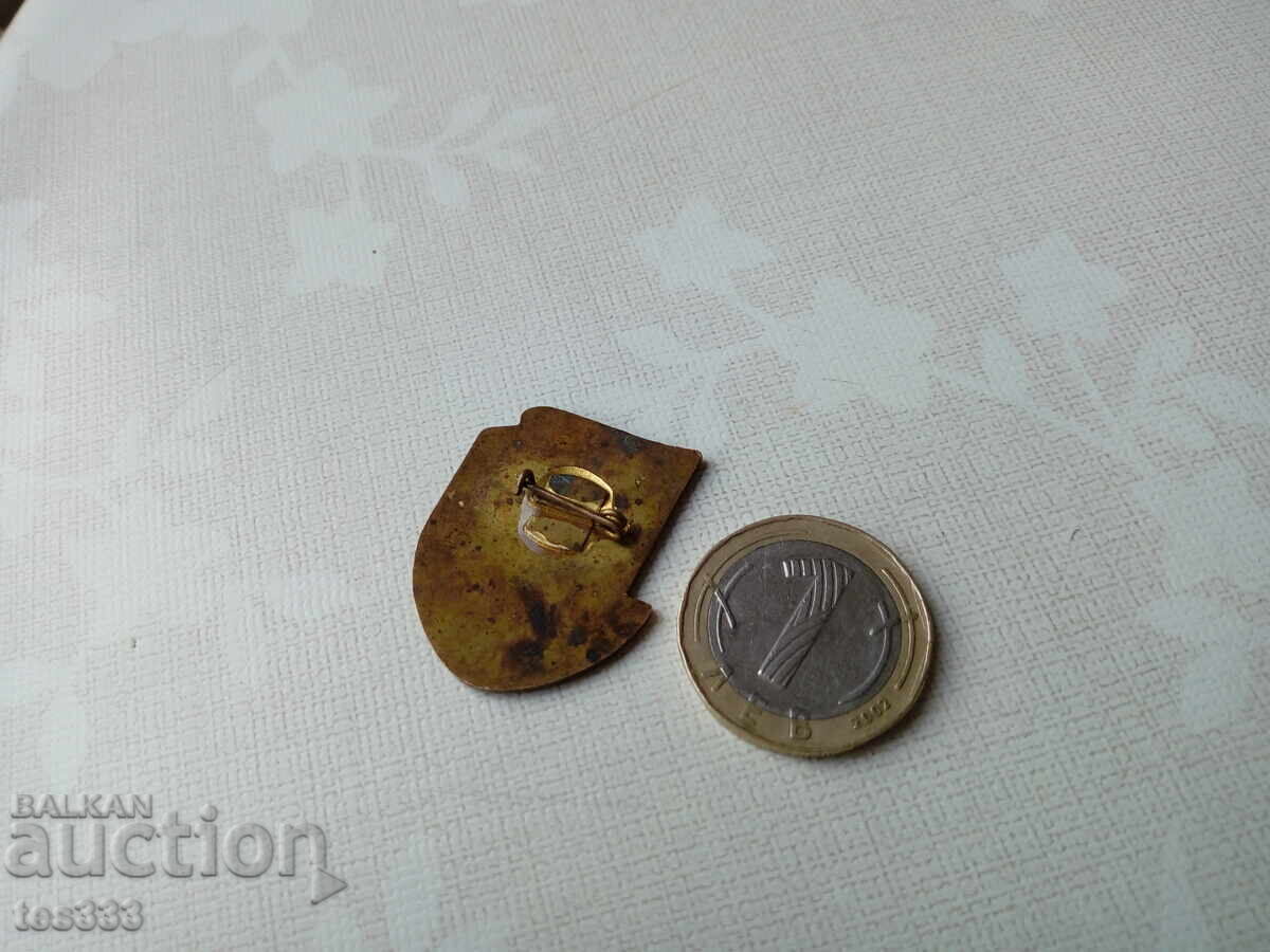 Livrarea Insigna din bronz emailat 4-a Spartachiadă Republicană 74