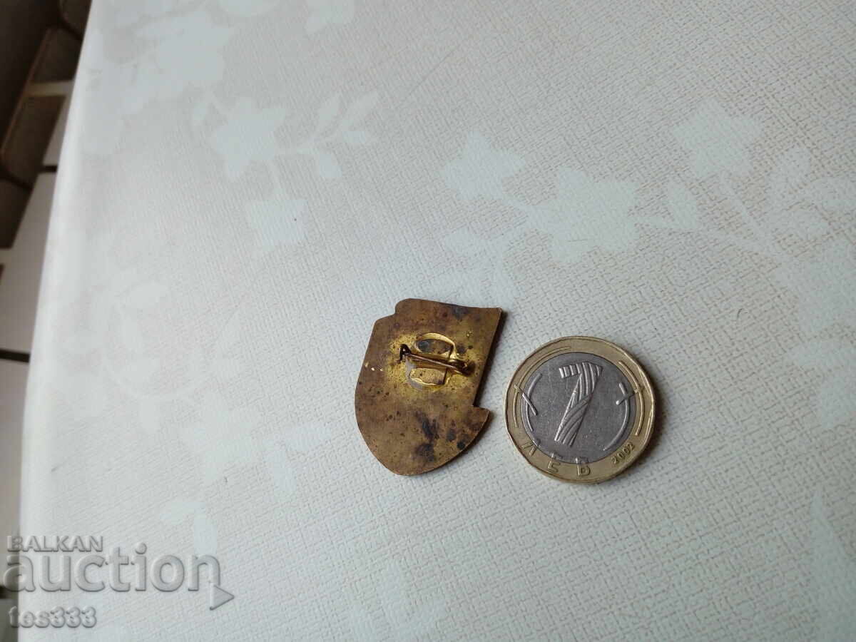 Insigna din bronz emailat 4-a Spartachiadă Republicană 74 - 5