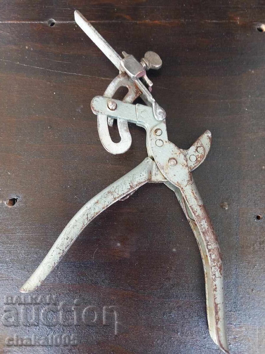 Аукцион Клещи за чапраз