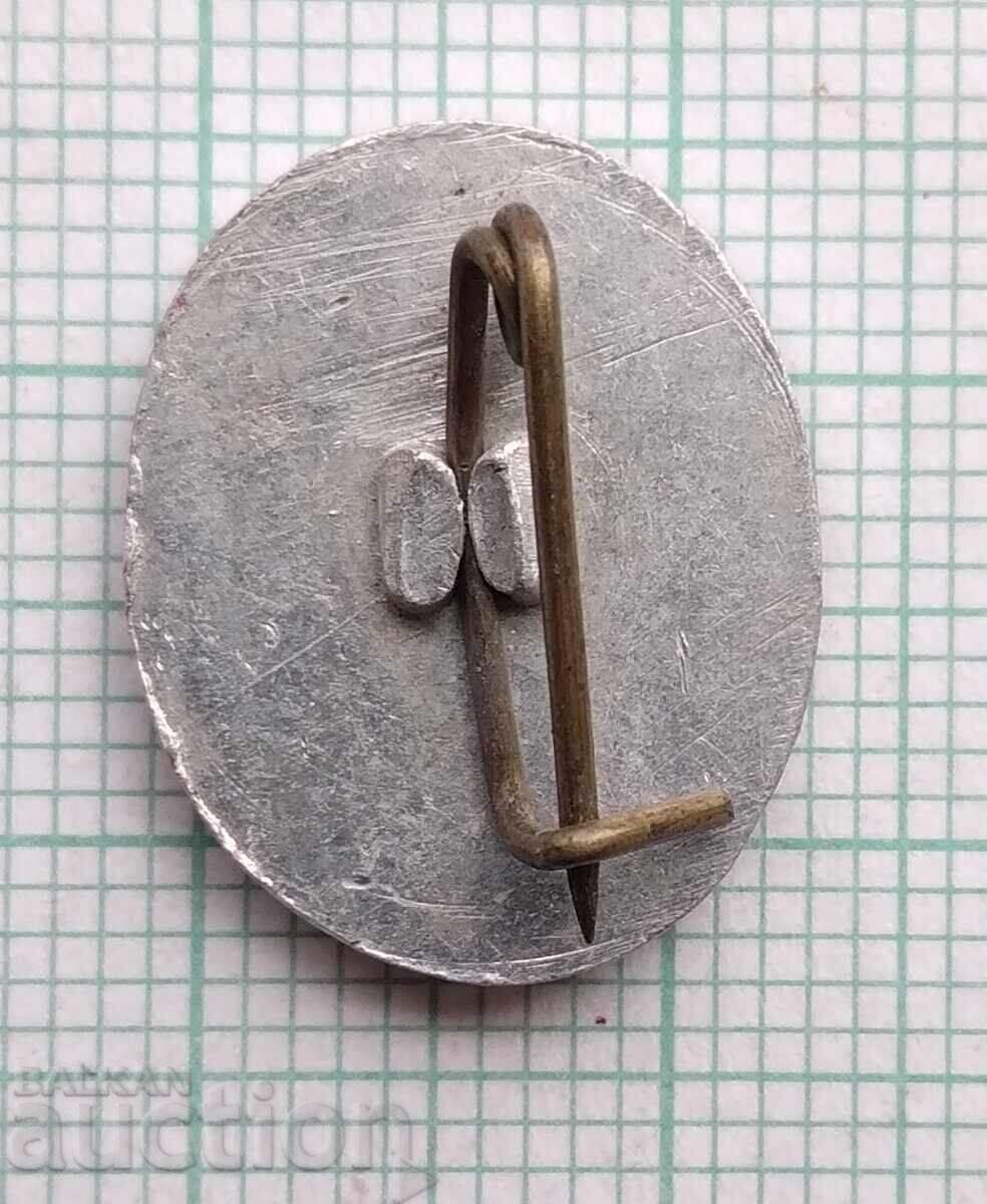 Auction  18901 Badge - Karlovo