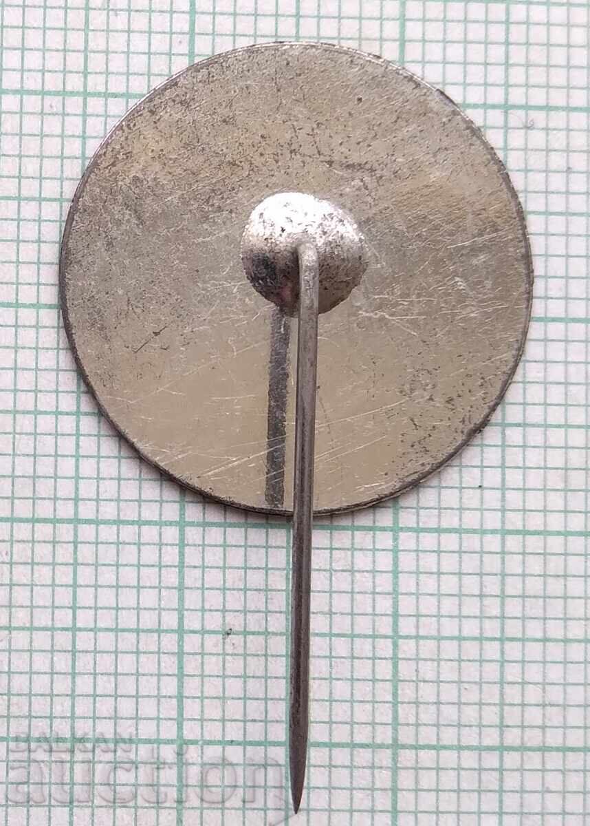 Delivery of 18922 Badge - Coat of Arms of Asenovgrad Delivery of 18922 Badge - Coat of Arms of Asenovgrad