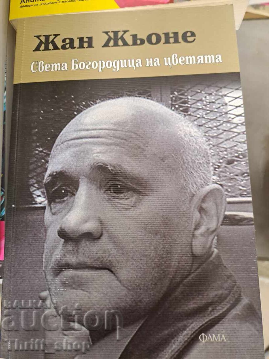 Our Lady of the Flowers Jean Jeunet