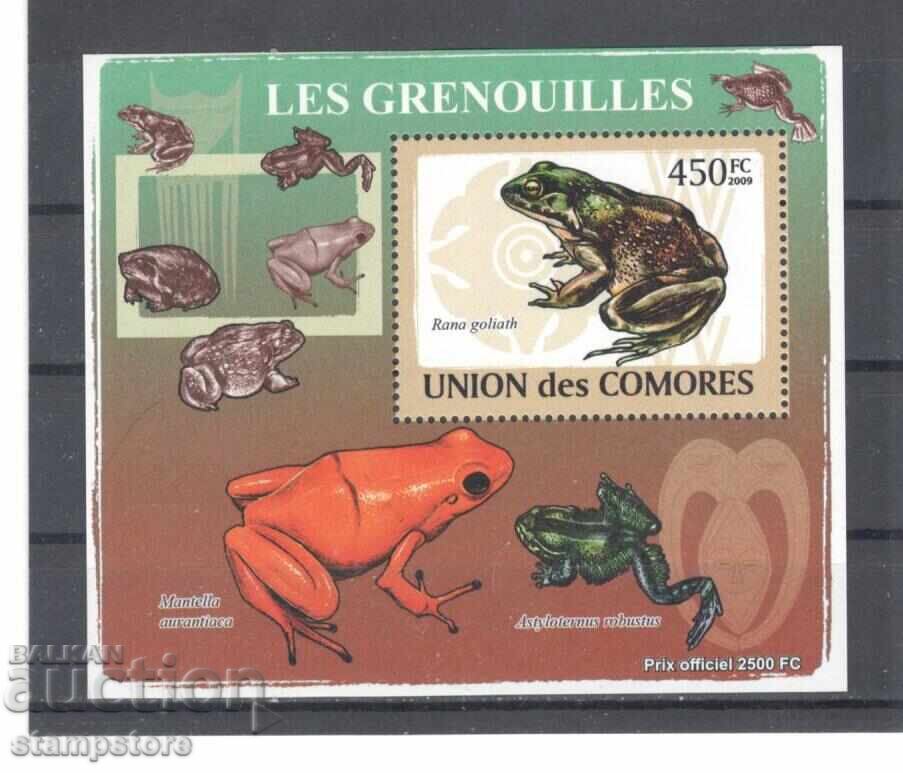 Comoros - Frogs Comoros - Frogs