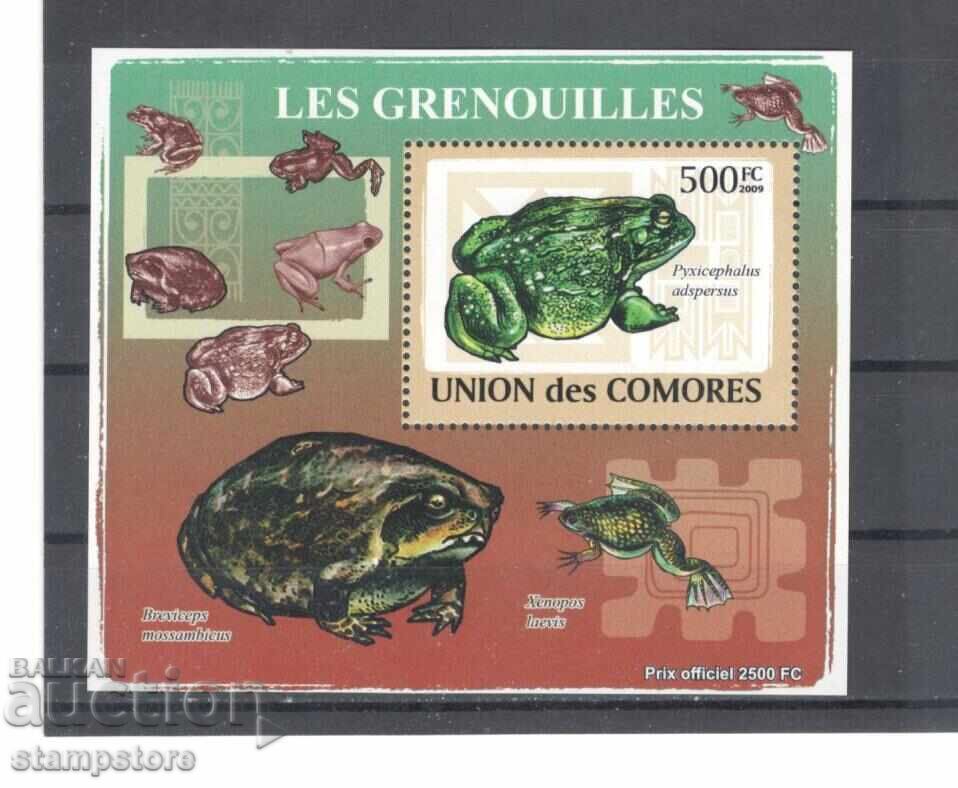 O-uri Comore - Broaște