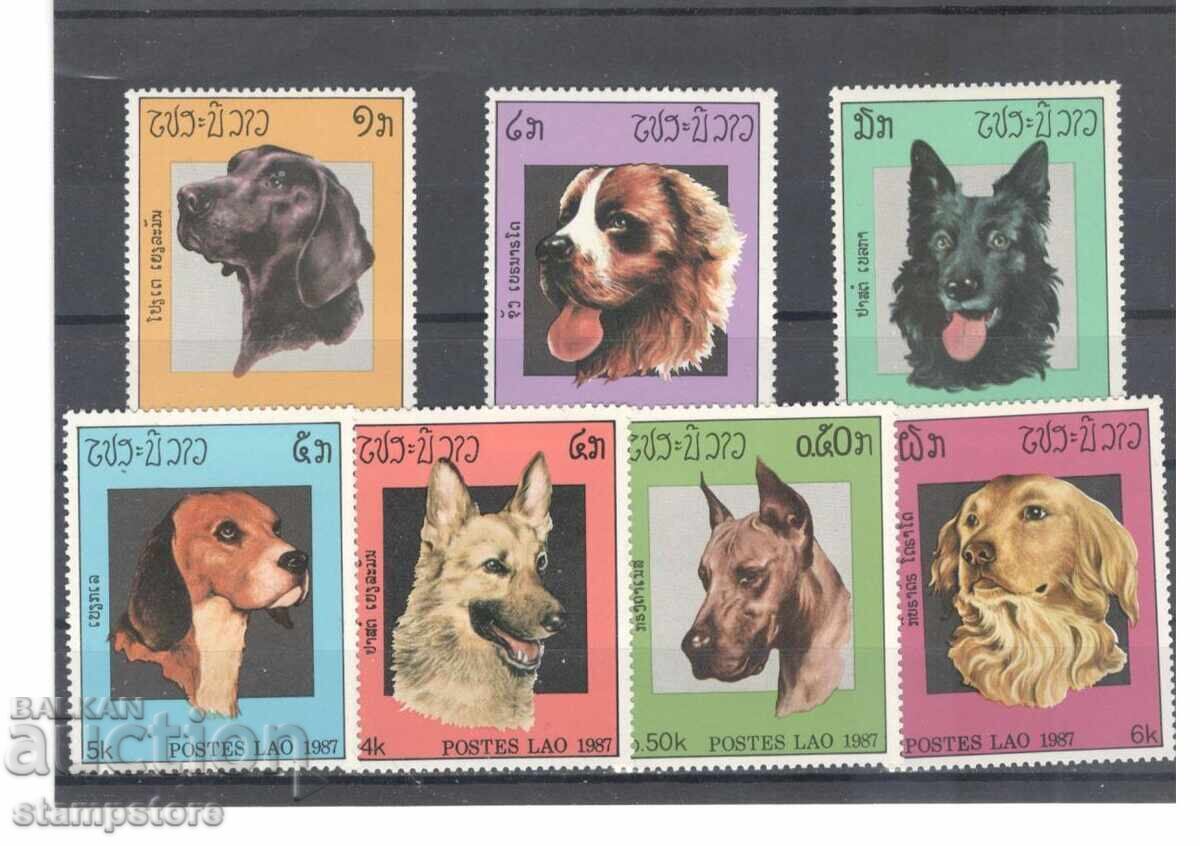 Λάος - Σκύλοι Λάος - Σκύλοι