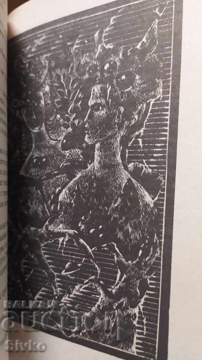 The Incredible Marta, Velichka Nastradinova, First Edition, many - 5