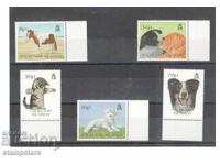 Φώκλαντ Νήσοι