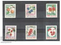 North Korea - Fruit Trees