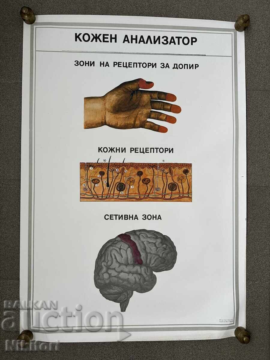 Set of Social Educational Medical Posters with price 165.00 BGN | € 84.36