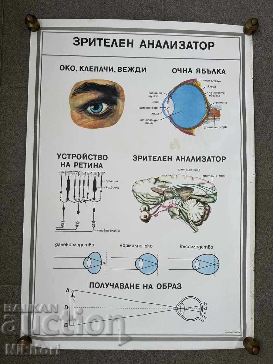 Δημοπρασία Σετ κοινωνικών εκπαιδευτικών ιατρικών αφισών