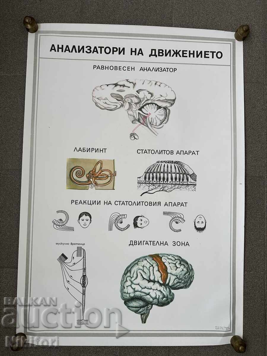 Set of Social Educational Medical Posters - 6