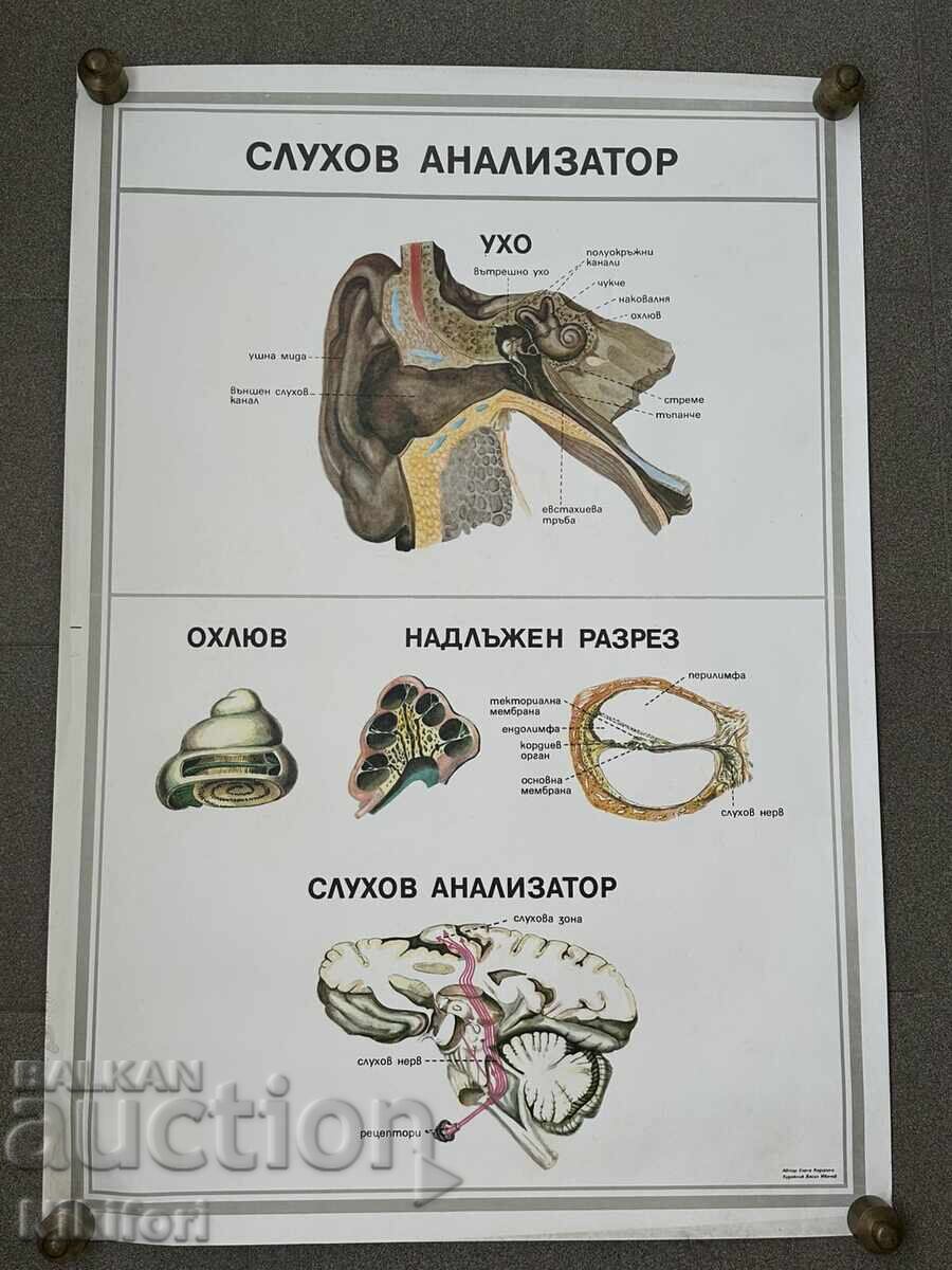 Set of Social Educational Medical Posters - 7