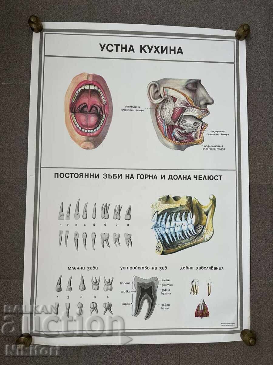 Σετ κοινωνικών εκπαιδευτικών ιατρικών αφισών