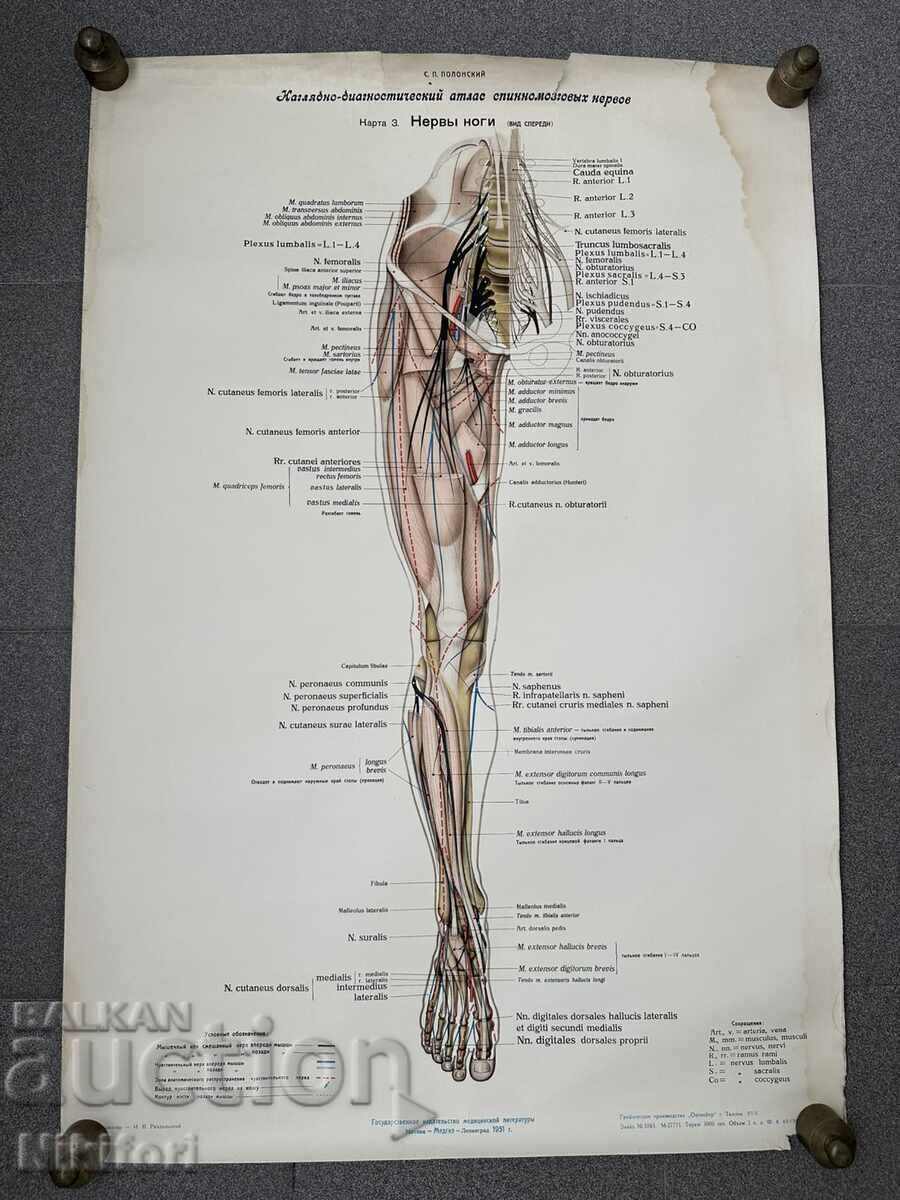 Δημοπρασία Σετ Κοινωνικών Ιατρικών Ποστερ 1951