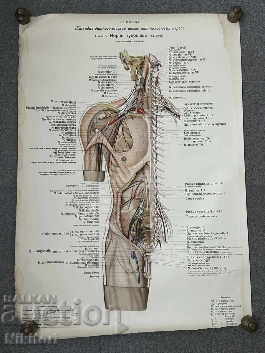 Παράδοση Σετ Κοινωνικών Ιατρικών Ποστερ 1951