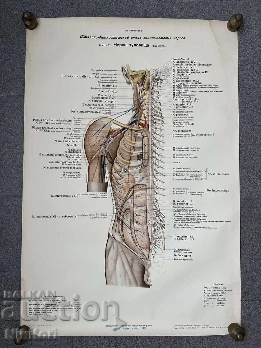 Σετ Κοινωνικών Ιατρικών Ποστερ 1951 - 5