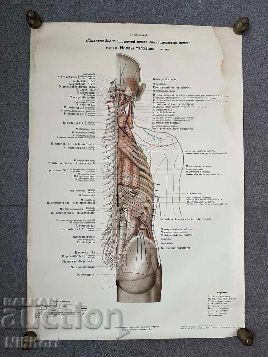 Σετ Κοινωνικών Ιατρικών Ποστερ 1951 - 7