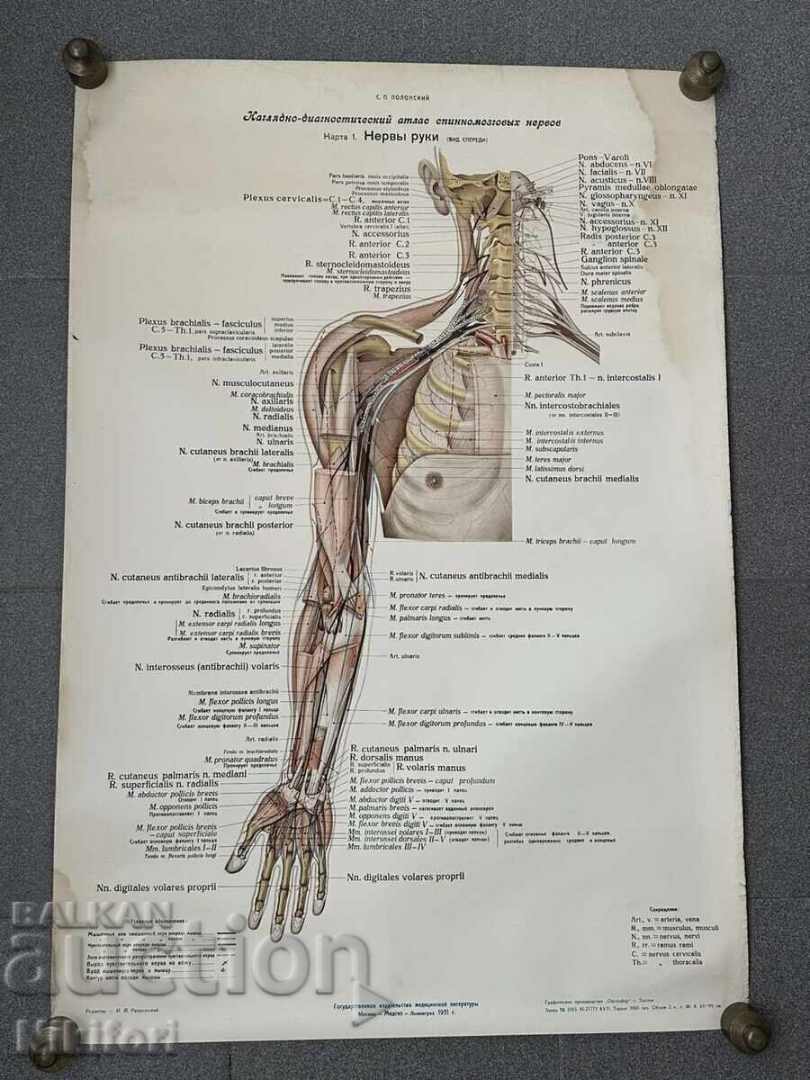 Σετ Κοινωνικών Ιατρικών Ποστερ 1951