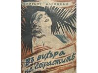 In the whirlwind of passions - Simeon Danovski