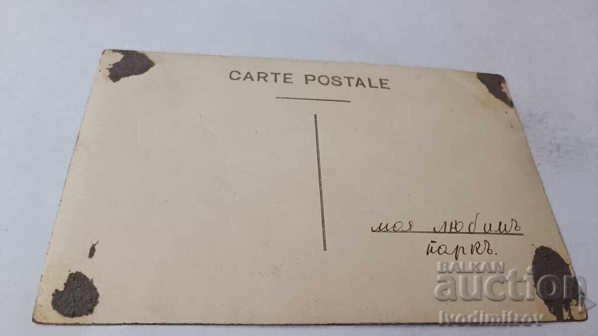 Photo of the City Park with price 2.65 BGN | € 1.35