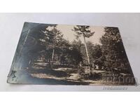 Photo of the City Park