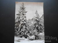 Παλιά βουλγαρική κάρτα Πρωτοχρονιάς