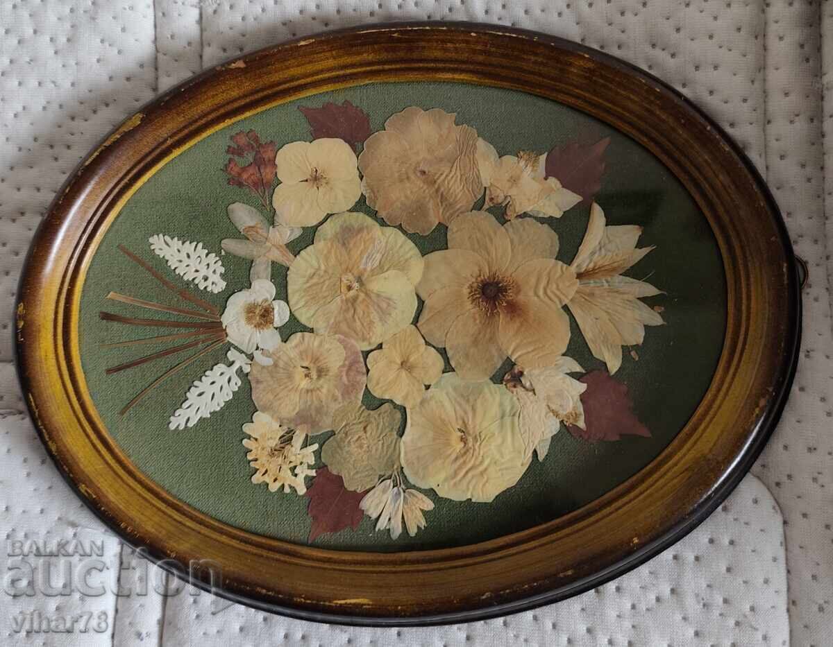 ХЕРБАРИЙ с цена € 40.90 | 79.99 лв.