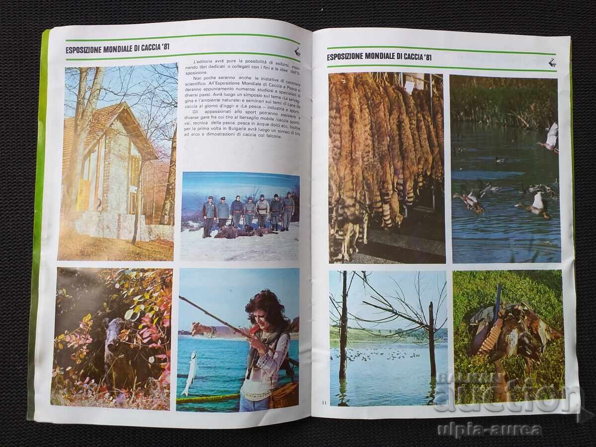 Доставка на Пловдив ЕКСПО 81