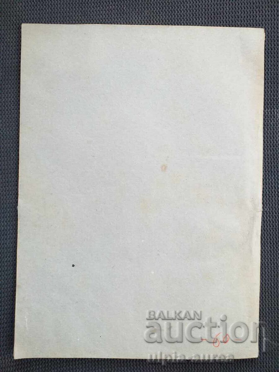 YOUTH TRIBUNE with price 3.30 BGN | € 1.69