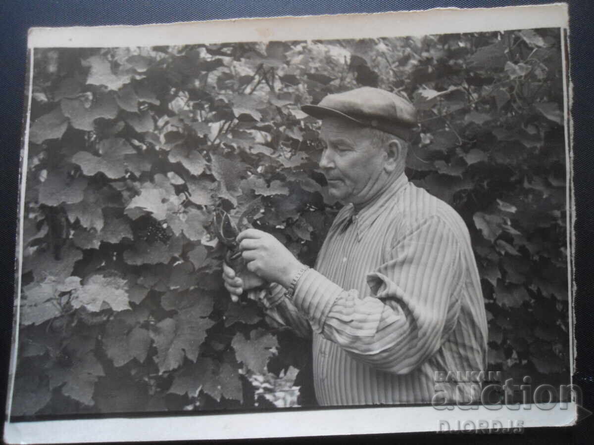 παλιά φωτογραφία παλιά φωτογραφία