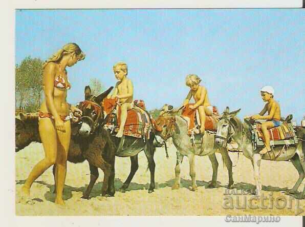 Картичка България Слънчев бряг Забавление на плажа** Картичка България Слънчев бряг Забавление на плажа**