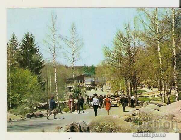 Картичка  България  София Витоша "Златните мостове 2**