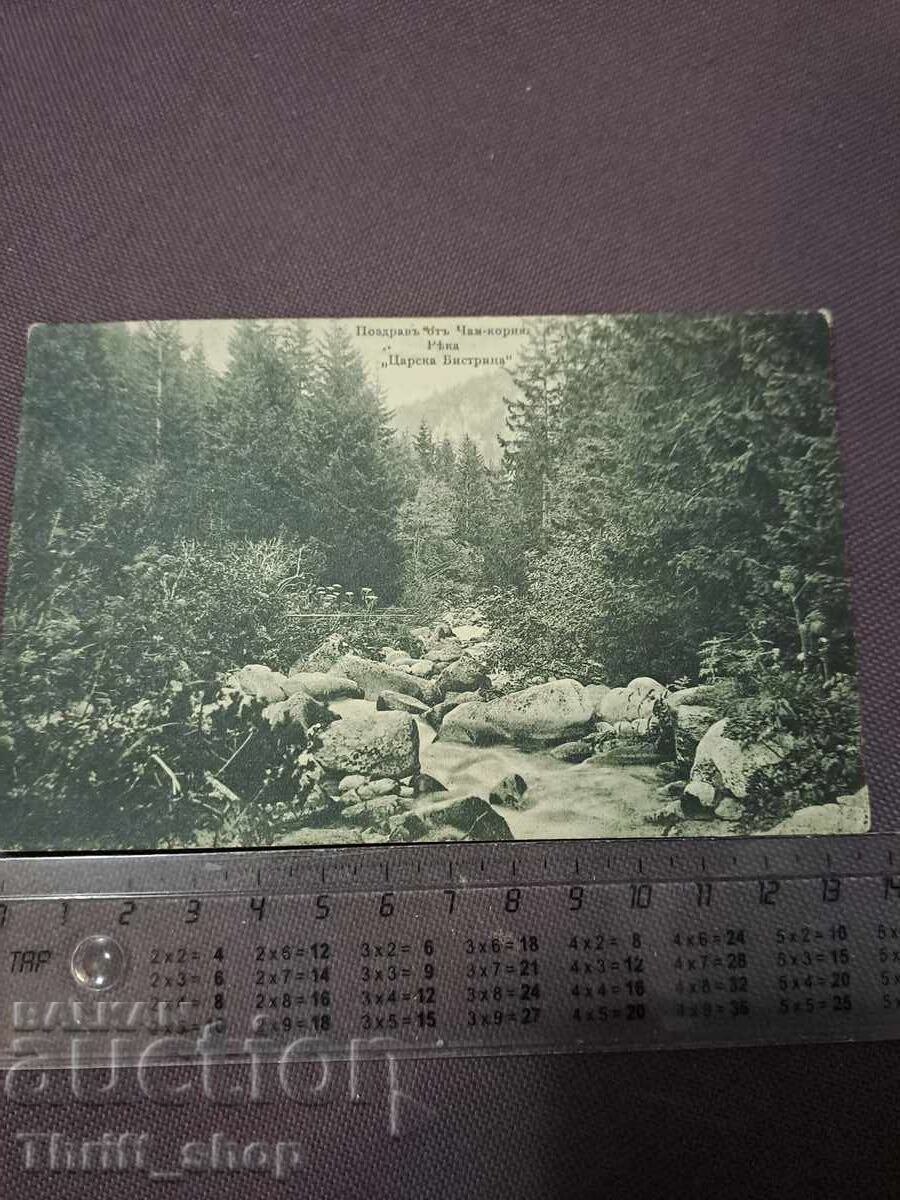 Carte poștală - Salutări din Țarskoe Bistrița, Čamkoria Carte poștală - Salutări din Țarskoe Bistrița, Čamkoria