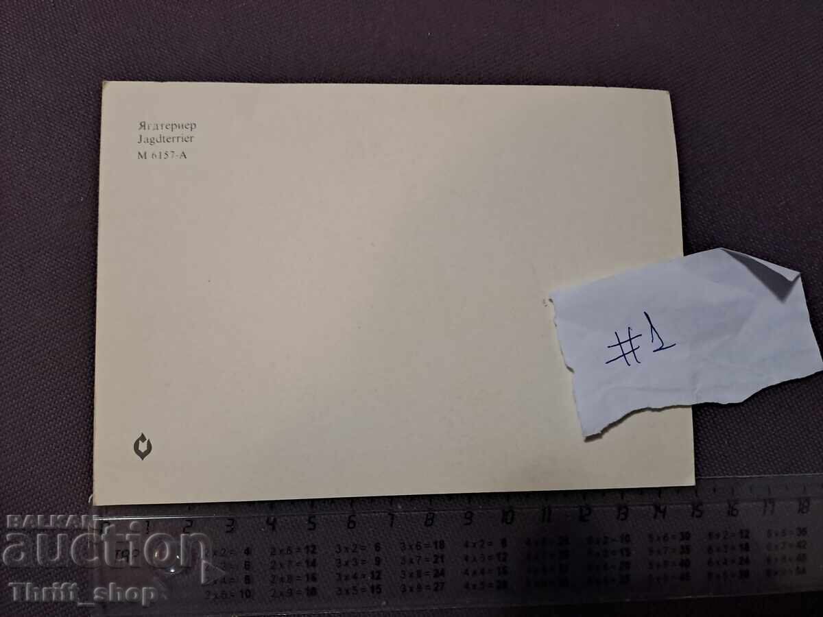 Κάρτα - σκύλος - Γιάγκντ Τέριερ με τιμή 4.99 BGN | € 2.55