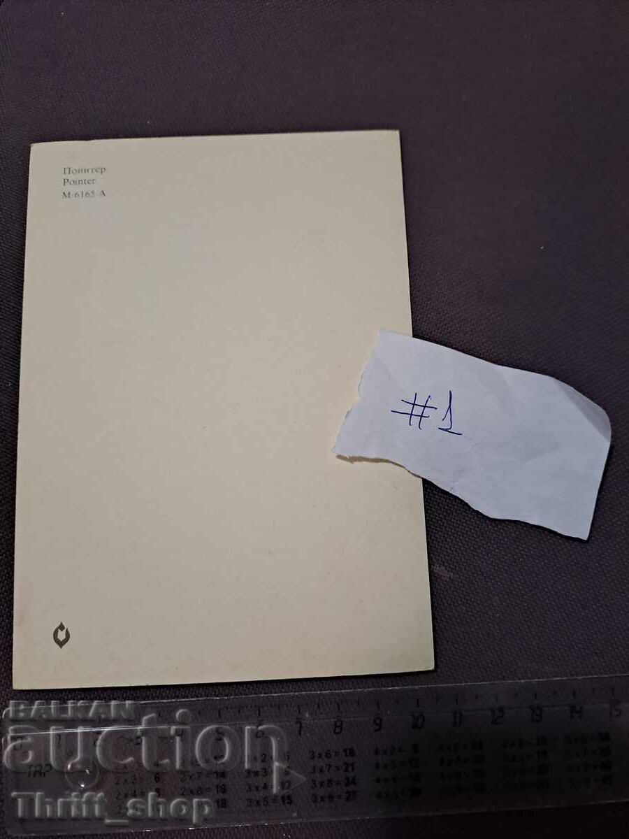 Картичка - куче - Пойнтер с цена 4.99 лв. | € 2.55