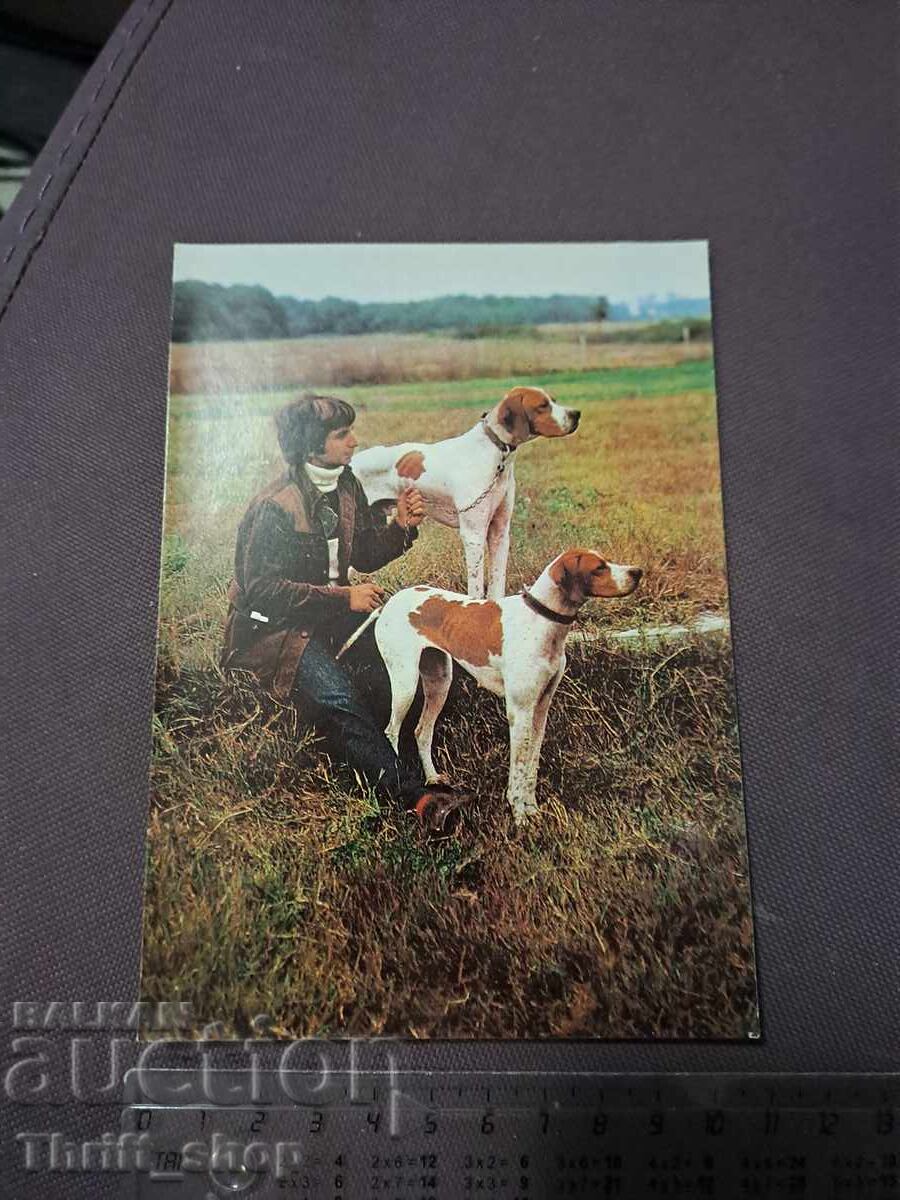 Картичка - куче - Пойнтер