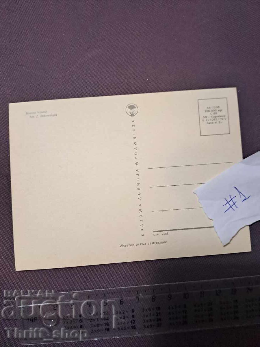 Κάρτα - σκύλος με τιμή 4.99 BGN | € 2.55 Κάρτα - σκύλος με τιμή 4.99 BGN | € 2.55