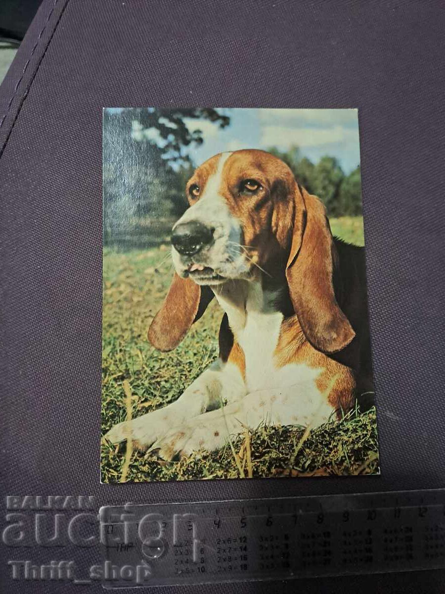 Κάρτα - σκύλος Κάρτα - σκύλος