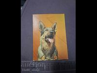 Картичка - куче