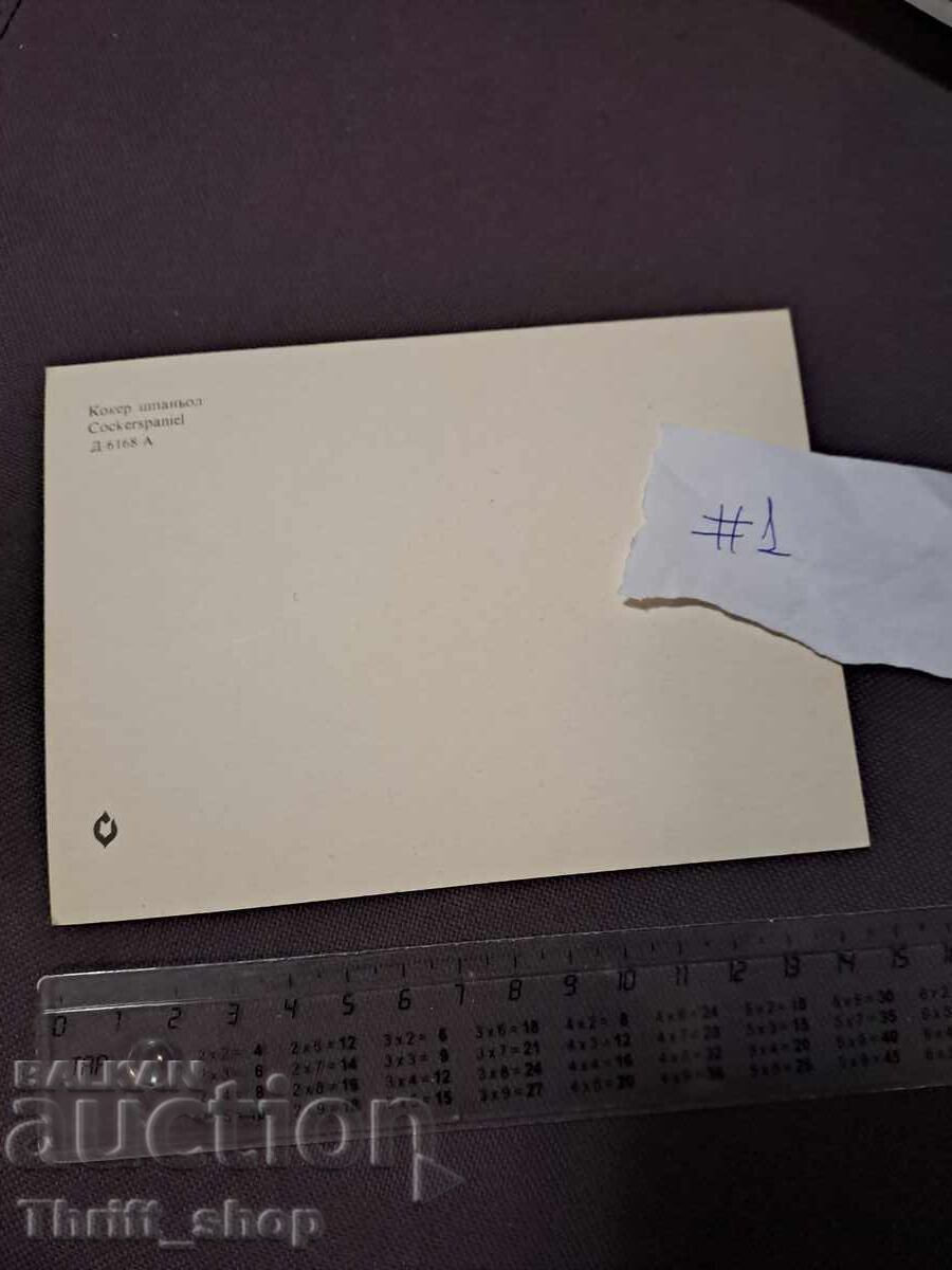 Картичка - куче - Кокер Шпаньол с цена 4.99 лв. | € 2.55 Картичка - куче - Кокер Шпаньол с цена 4.99 лв. | € 2.55