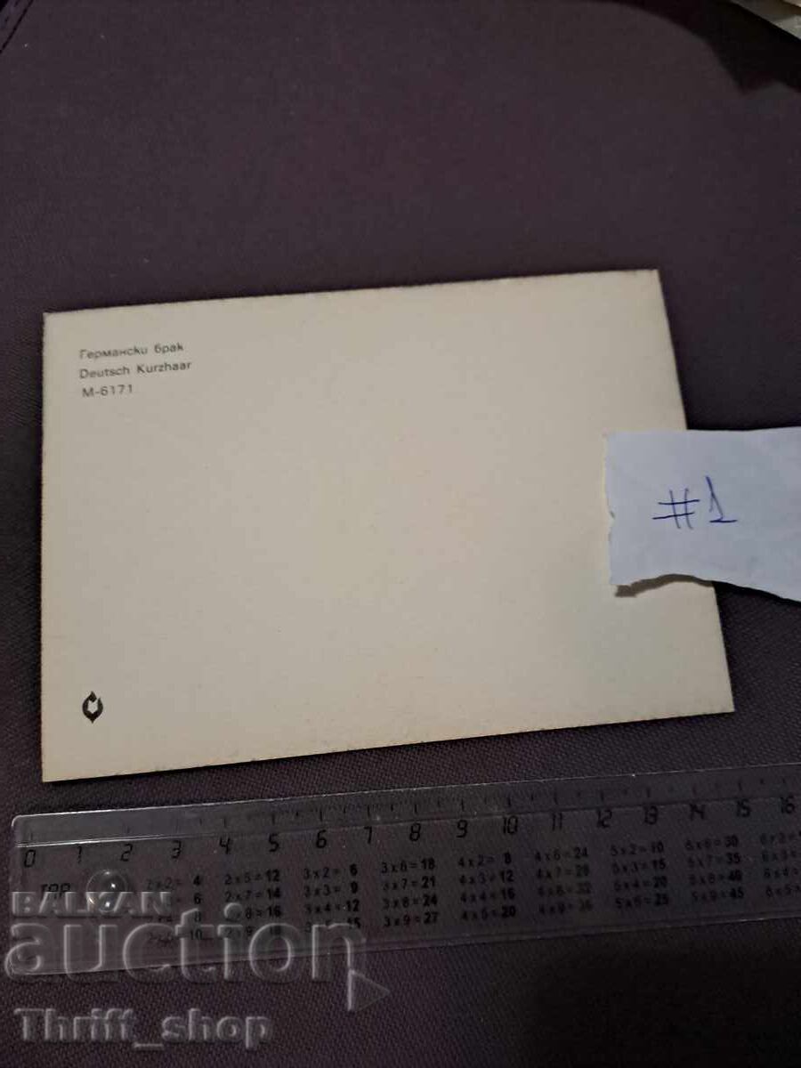 Card - dog - German breed with price 4.99 BGN | € 2.55 Card - dog - German breed with price 4.99 BGN | € 2.55