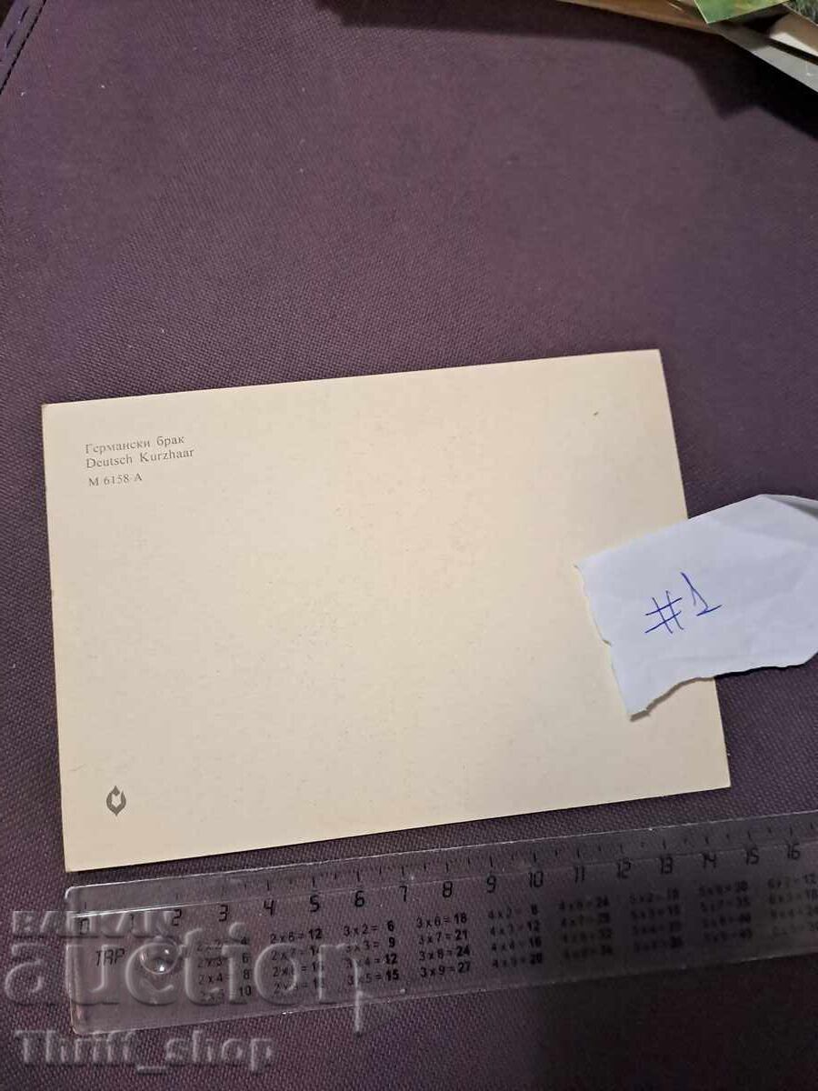 Картичка - куче - Германски брак с цена 4.99 лв. | € 2.55