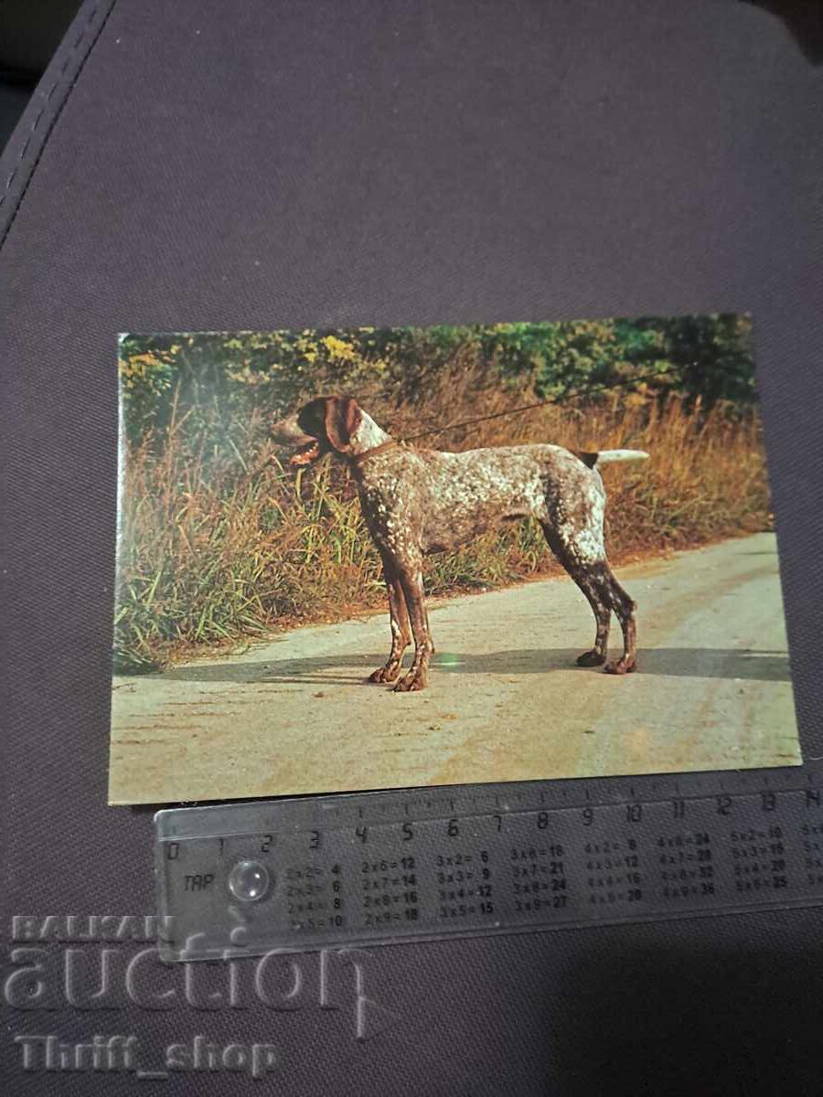 Картичка - куче - Германски брак