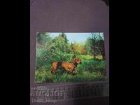 Κάρτα - σκύλος - Ντάκελ