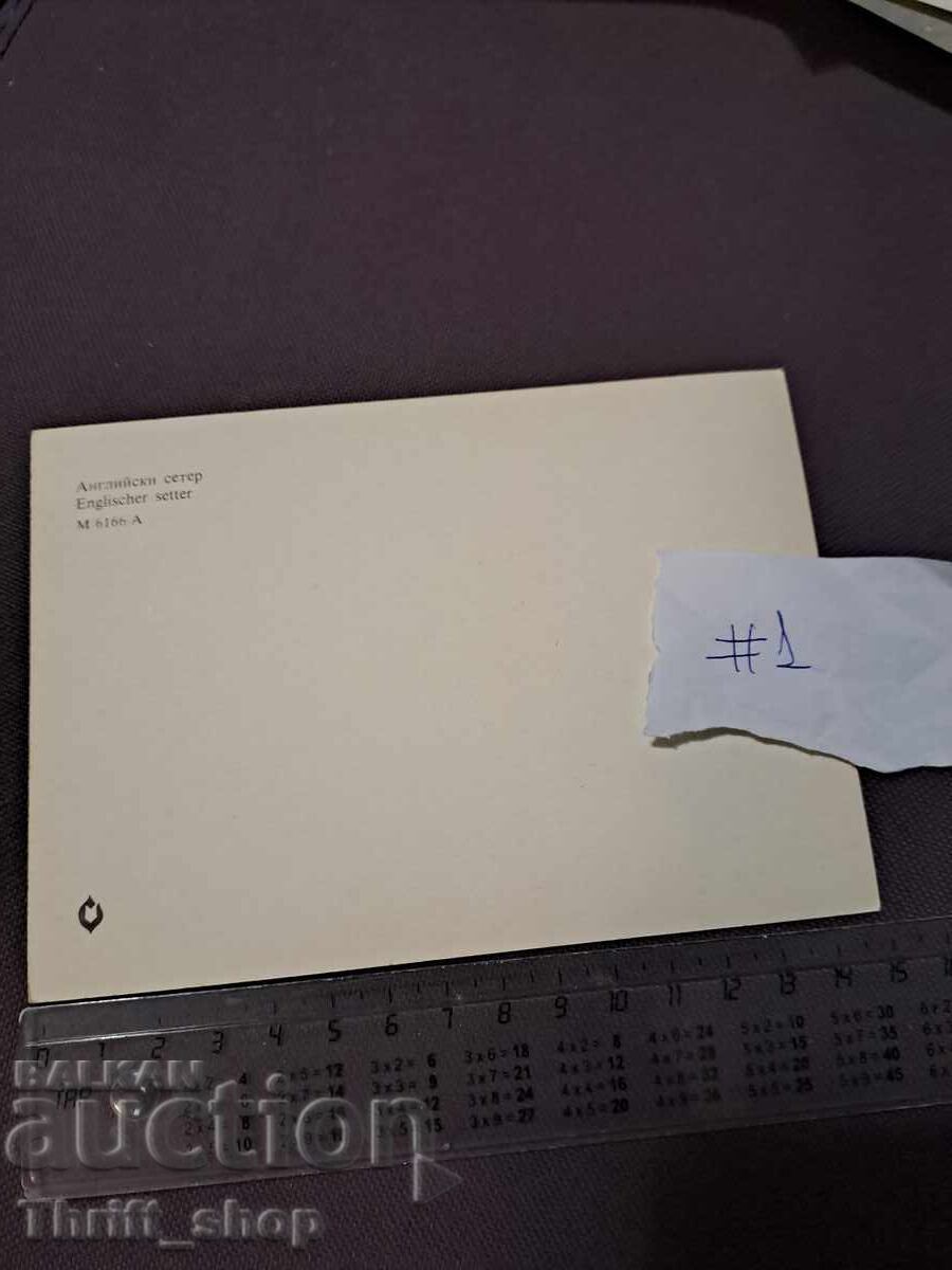 Картичка - куче - Aнглийски сетер с цена 4.99 лв. | € 2.55