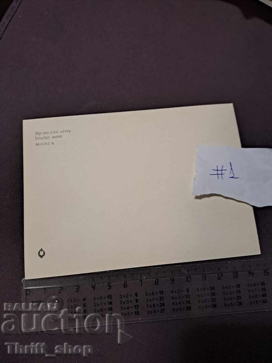 Κάρτα - σκύλος - Ιρλανδικό Σέττερ με τιμή 4.99 BGN | € 2.55 Κάρτα - σκύλος - Ιρλανδικό Σέττερ με τιμή 4.99 BGN | € 2.55