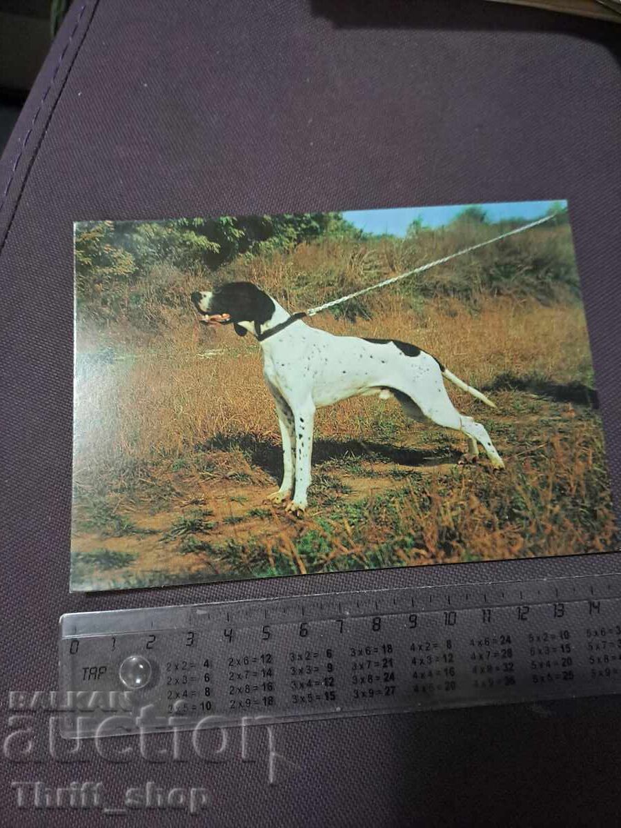 Κάρτα - σκύλος - Πόιντερ Κάρτα - σκύλος - Πόιντερ