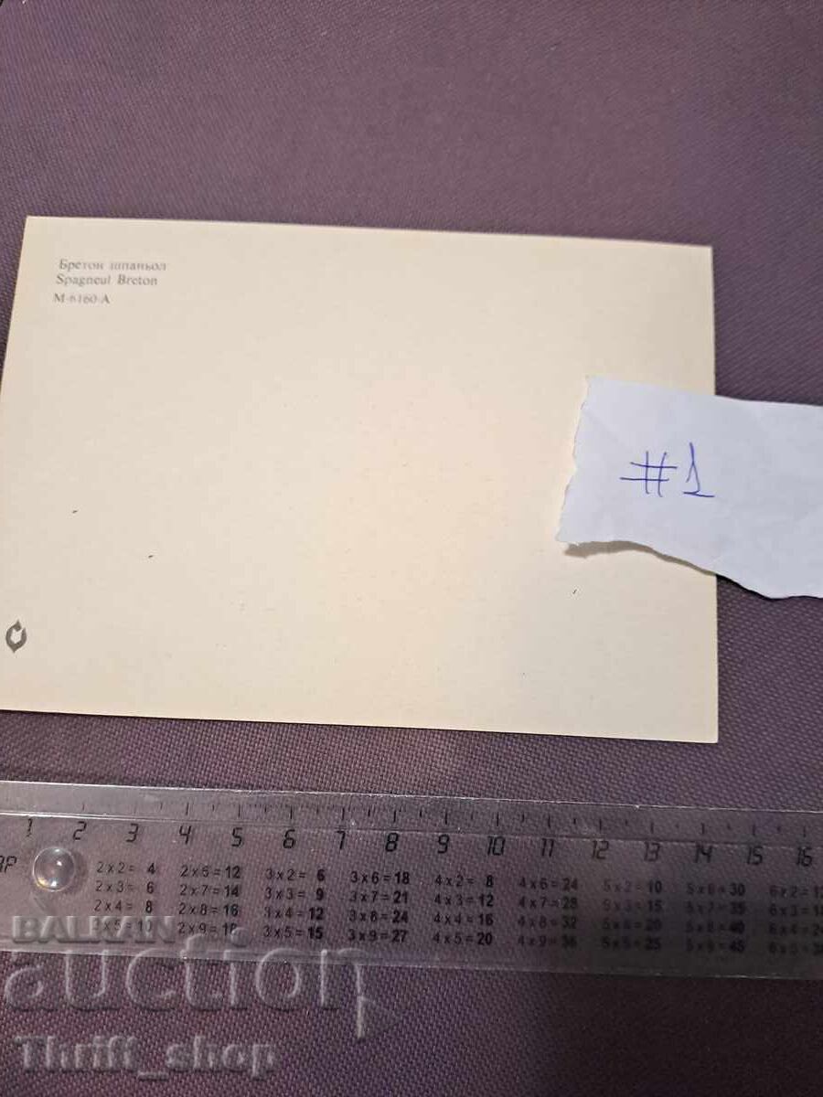 Κάρτα - σκύλος - Βρετανικός Σπανιέλ με τιμή 4.99 BGN | € 2.55 Κάρτα - σκύλος - Βρετανικός Σπανιέλ με τιμή 4.99 BGN | € 2.55