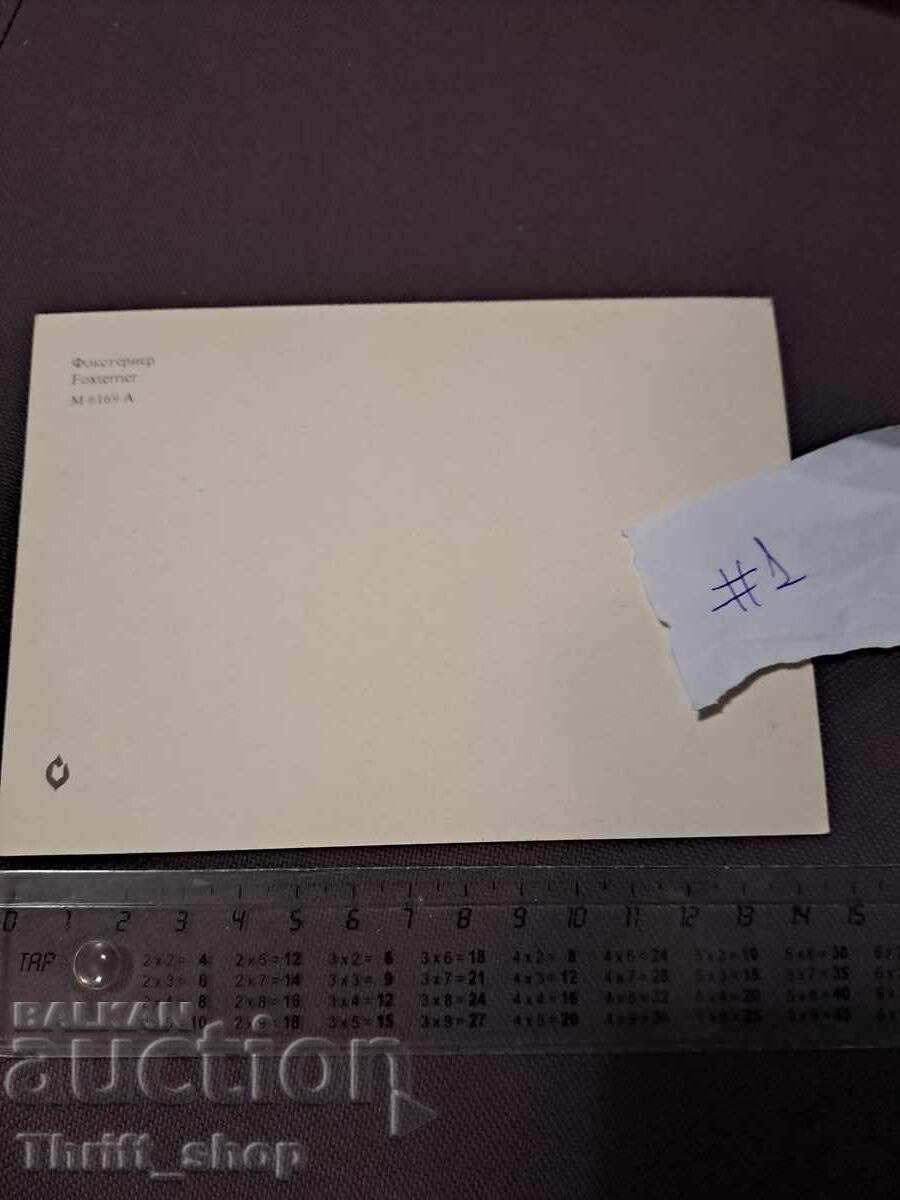 Felicitare - câine - Fox Terrier cu preț 4.99 BGN | € 2.55